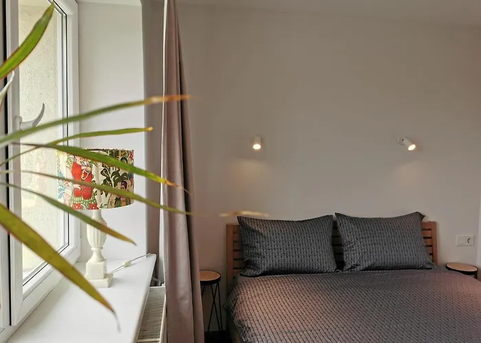 Apartment Ant Bangos