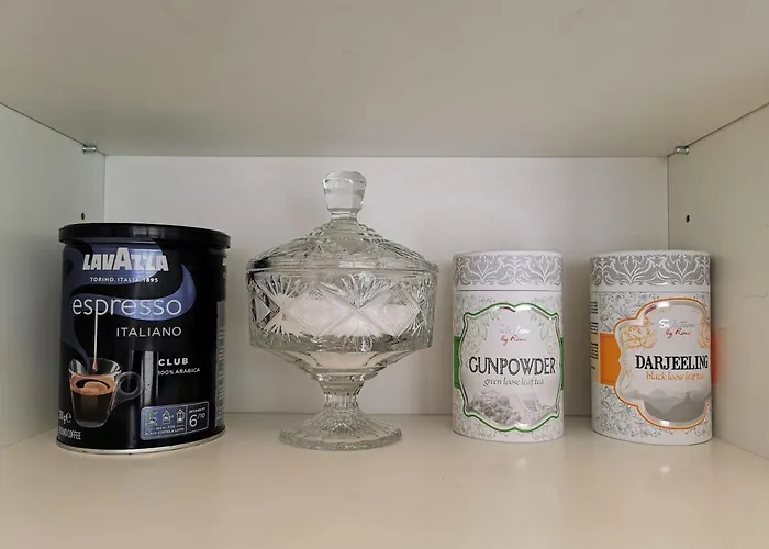 Apartment Ant Bangos